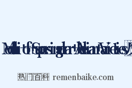 Moduli+of+Supersingular+Abelian+Varieties反义词是什么意思的图片